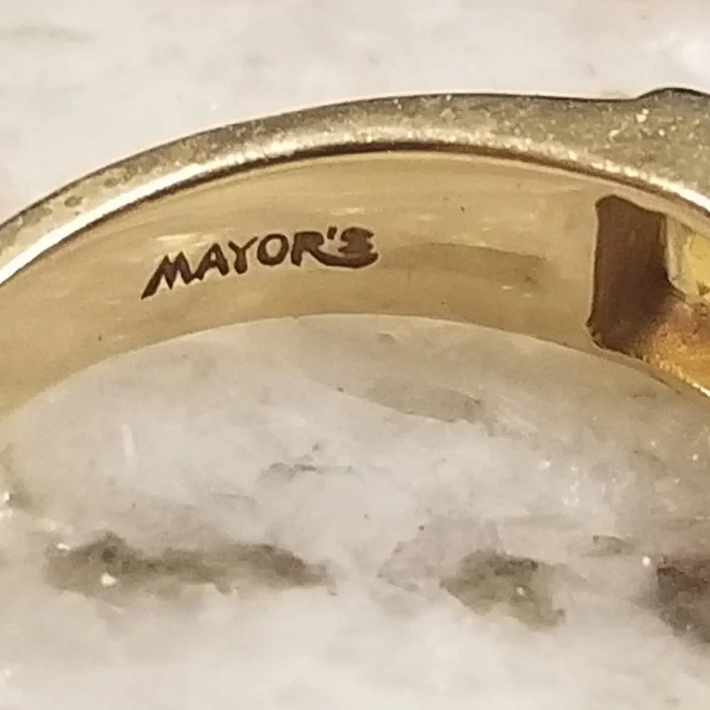 Mayors this signed